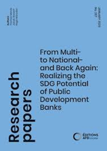 From Multi- to National- and Back Again: Realizing the SDG Potential of Public Development Banks image